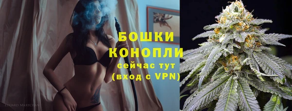 альфа пвп Заводоуковск