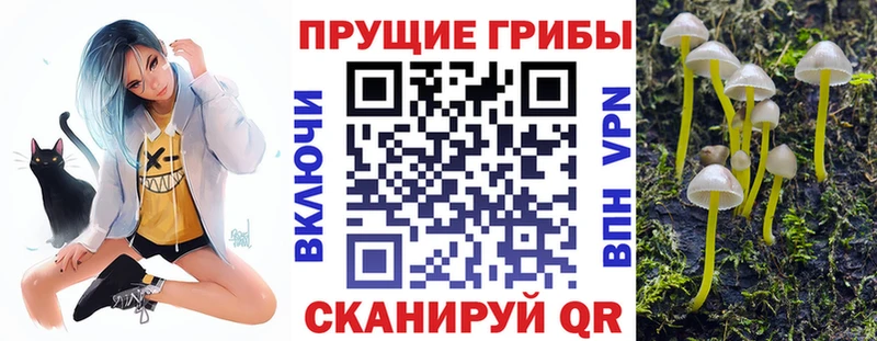 Галлюциногенные грибы Psilocybine cubensis  Купить  Печора 